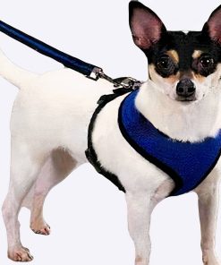 Harnais avec laisse flexible pour chien