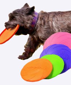 Soucoupe volante en Silicone pour chien