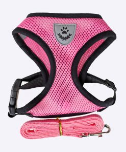 Harnais rose et laisse en nylon pour chien